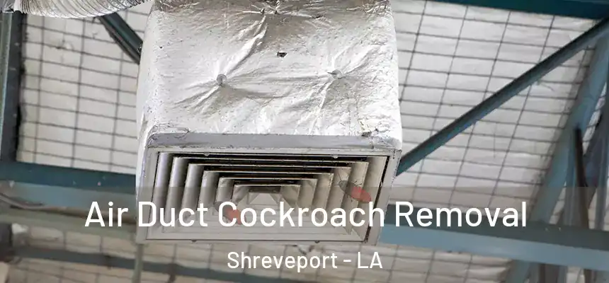Air Duct Cockroach Removal Shreveport - LA