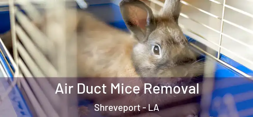  Air Duct Mice Removal Shreveport - LA