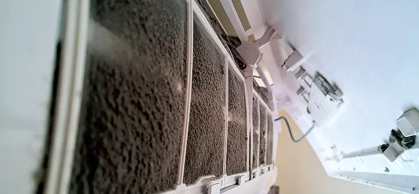 Preventive Air Duct Bacteria Removal in Shreveport