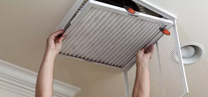 Our Insect Removal from Air Ducts Services in Shreveport, LA