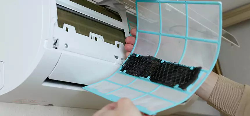 Gentle Ductwork Odor-Control Pet Dander Duct Cleaning in Shreveport, LA