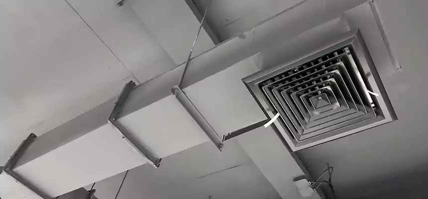 Our Rodent Droppings In Vents Services in Shreveport, LA