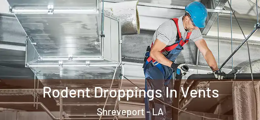  Rodent Droppings In Vents Shreveport - LA