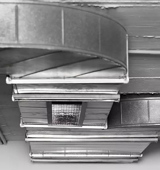 Professional Air Duct Pet Hair Removal in Shreveport, LA