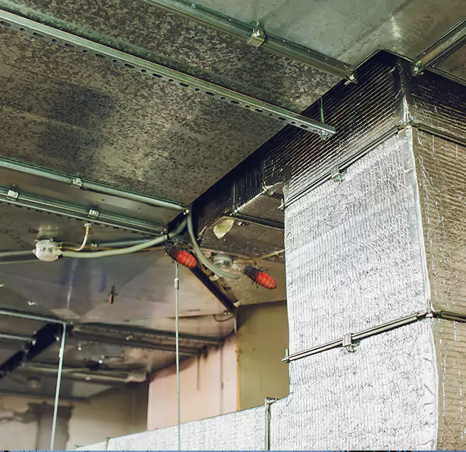 Why Homeowners & Businesses Trust Us in Shreveport, LA?