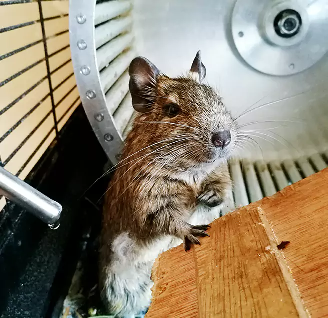 Why Homeowners & Businesses Trust Us Shreveport, LA?