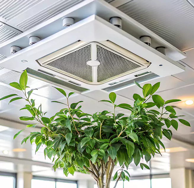 Why Homeowners & Businesses Trust Us in Shreveport, LA?